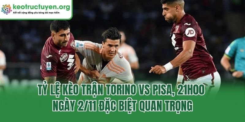 Tỷ Lệ Kèo Trận Torino Vs Pisa, 21h00 Ngày 2/11 Cực Chi Tiết Tỷ lệ kèo trận Torino vs Pisa, 21h00 ngày 2/11 đặc biệt quan trọng