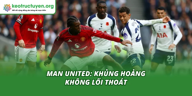 Cập Nhật Kết Quả Bóng Đá Tottenham vs Man United 11/11 Phân tích đội hình hai đội Tottenham vs Man United theo Kèo Nhà Cái
