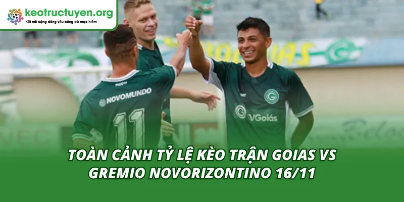 Tỷ Lệ Kèo Trận Goias Vs Gremio Novorizontino 16/11 Mới Nhất Tìm hiểu tỷ lệ kèo trận Goias vs Gremio Novorizontino 16/11