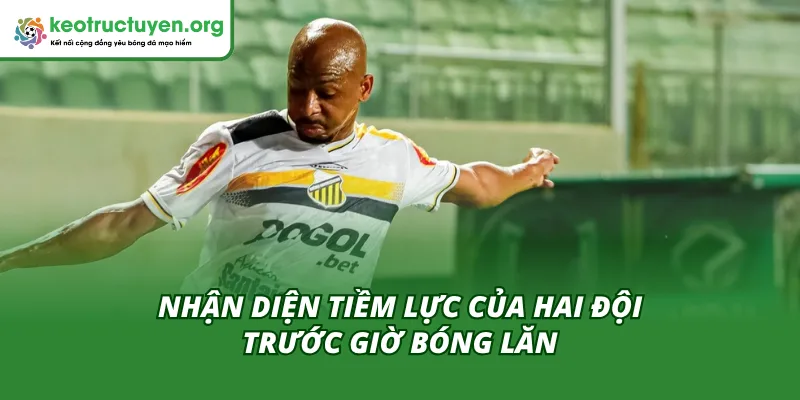 Tỷ Lệ Kèo Trận Goias Vs Gremio Novorizontino 16/11 Mới Nhất So kè sức mạnh giữa Goias và Gremio Novorizontino