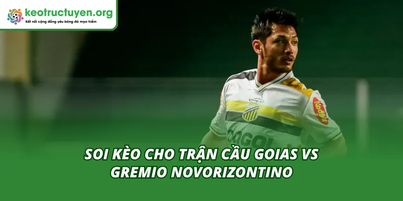Tỷ Lệ Kèo Trận Goias Vs Gremio Novorizontino 16/11 Mới Nhất Phân tích kèo và đoán kết quả trận Goias vs Gremio Novorizontino