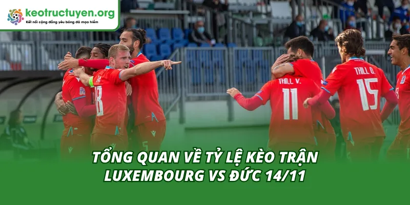 Tỷ Lệ Kèo Trận Luxembourg Vs Đức 14/11 – Chênh Lệch Đẳng Cấp Toàn cảnh tỷ lệ kèo trận Luxembourg vs Đức 14/11
