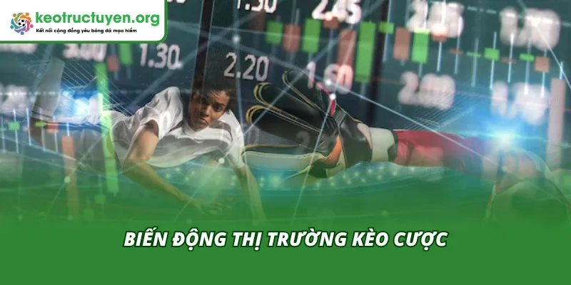 CAN Cup Chính Thức Chuyển Từ Đông Sang Hè: Cuộc Cách Mạng Biến động kèo cược khi CAN Cup chuyển từ đông sang hè